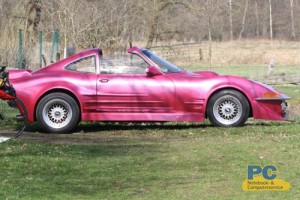 Hundesport Sommerauto