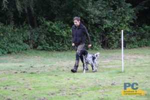 Jagdhund Spencer